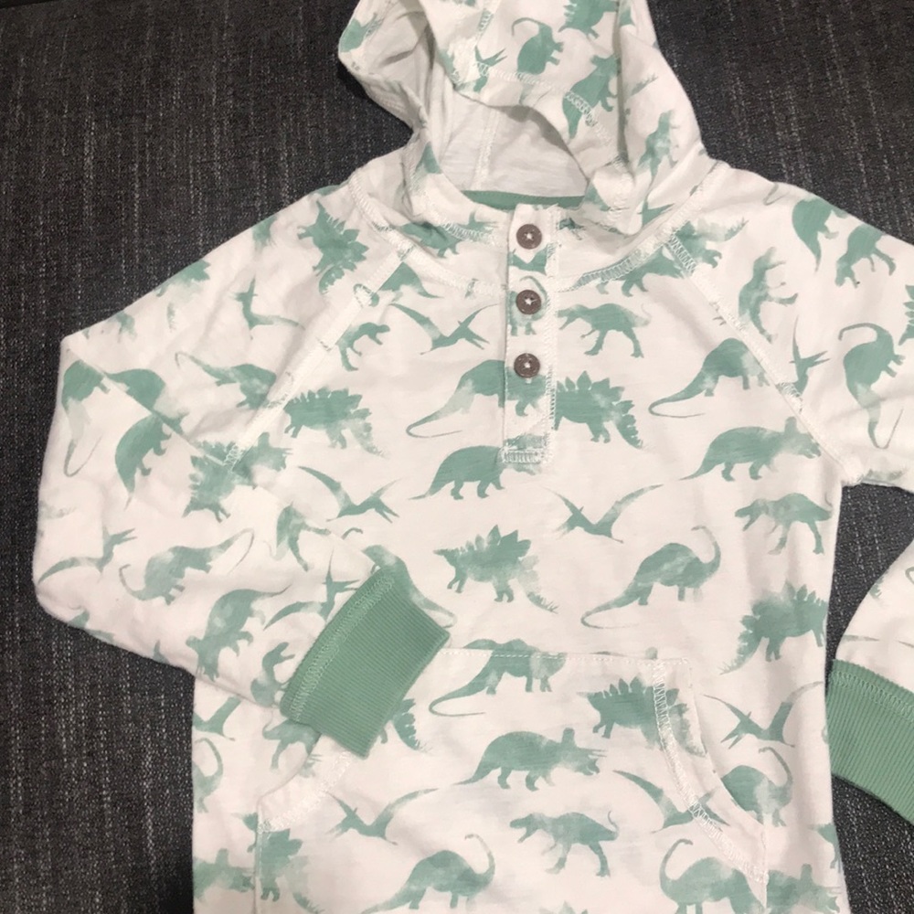 Cute Dinosaur lightweight pull over 5t!!